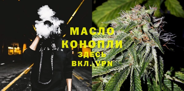 индика Армянск