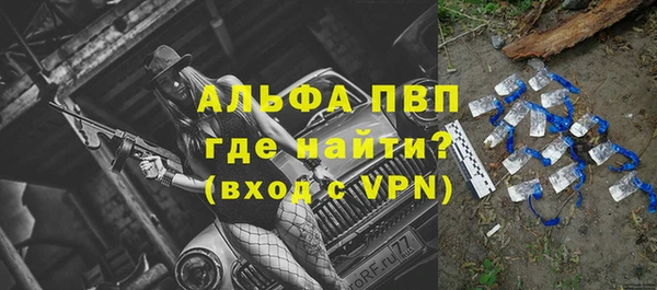 spice Аркадак