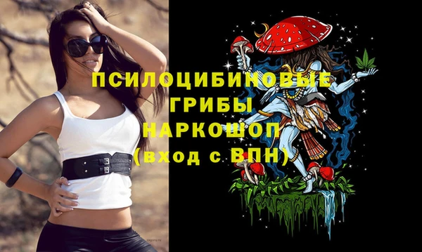 индика Армянск