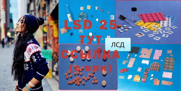spice Аркадак