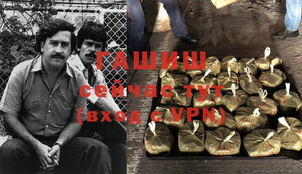 индика Армянск