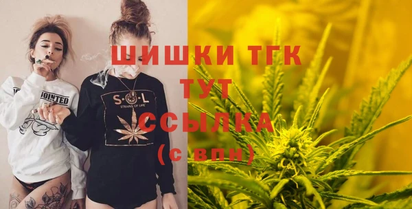 индика Армянск