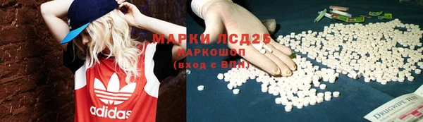 spice Аркадак