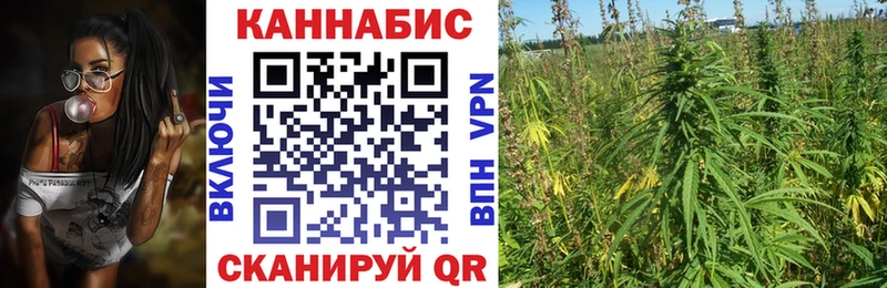 Шишки марихуана ГИДРОПОН  Муравленко 